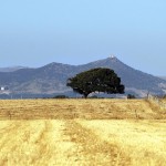 Panorama sangavinese